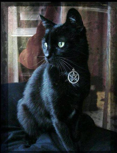 Witches Familiar Pentacle Cat Collar . Black, Blue, Orange, Purple or Red . Adjustable