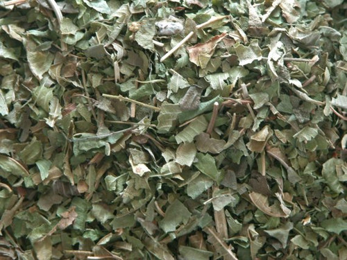 Lemon Verbena ~ Herbal Alchemy