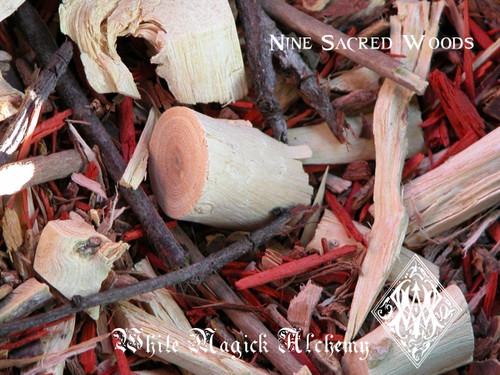 Nine Sacred Woods Ancient Cauldron Blend, Celtic and Druid Workings, Spiritual Enlightenment, Prophetic Dreams, Fertility, Abundance