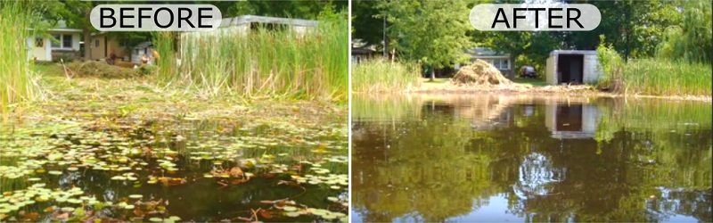 Aquatic Vegetation Groomer Cutting Cattails