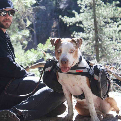 Dog Backpack Saddle Bags Ezydog Convert K9lifestyle Out For A Hike With The Convert Harness And Saddle Bags