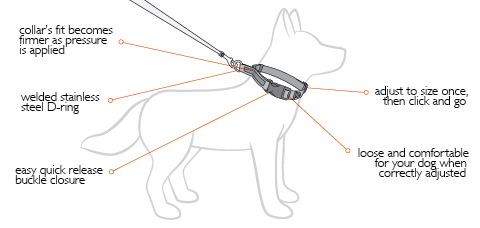 Checkmate Dog Collar Features Checkmate Dog Training Collars