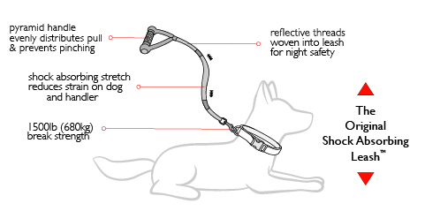 cujo-diagram.jpg