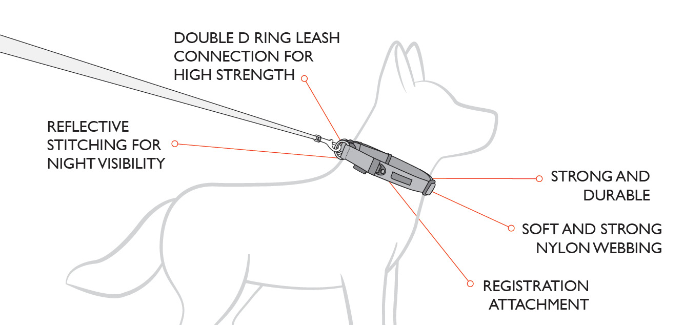 Reflective Dog Leash Strong with D Puppy Heavy Duty Durable