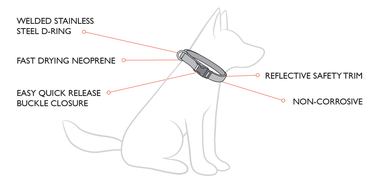 Neo Dog Collars