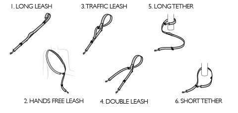 vario 6 diagram