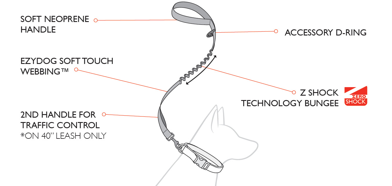 zero-shock-diagram.jpg zero-shock-diagram.jpg
