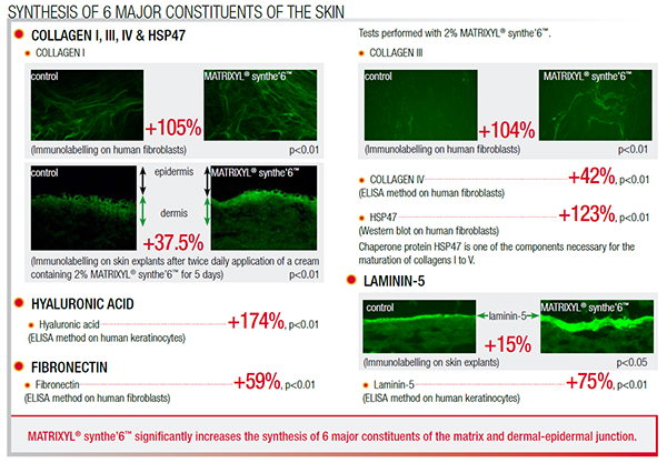 Synthesis of 6 major constituents of the skin