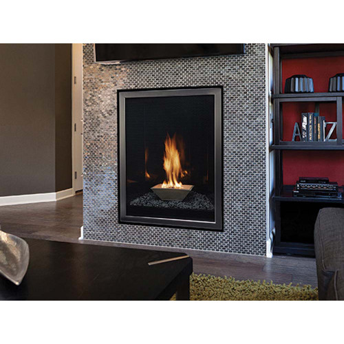 Empire Forest Hills Contemporary Direct-Vent Fireplaces Empire Forest Hills Contemporary Direct-Vent Fireplaces