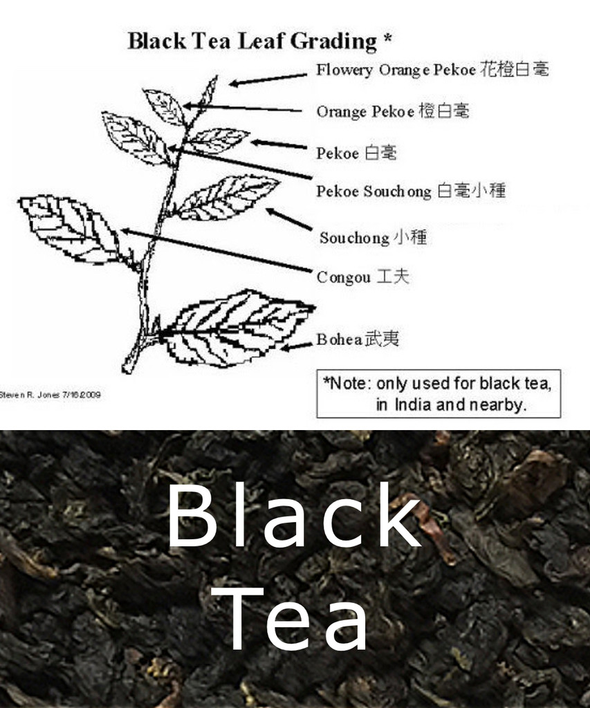 Black Tea Alcohol free Extract
