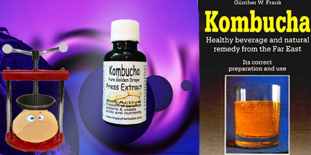 Kombucha Mushroom Extract Pure Golden Drops