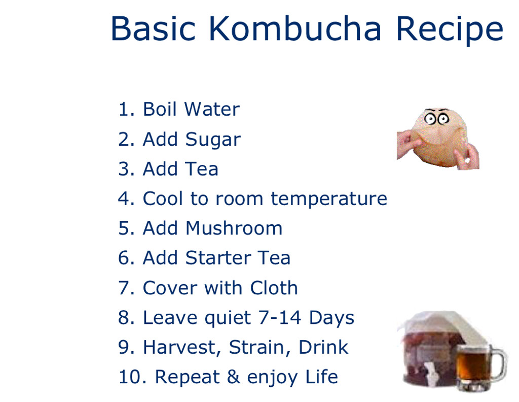 The Kombucha mushroom or gelatinous gel that forms on the top of the brew produced during this process is fondly referred to as a SCOBY, or MOTHER. Mother being used to differentiate between the original SCOBY and the new SCOBY that is produced typically each brewing cycle.