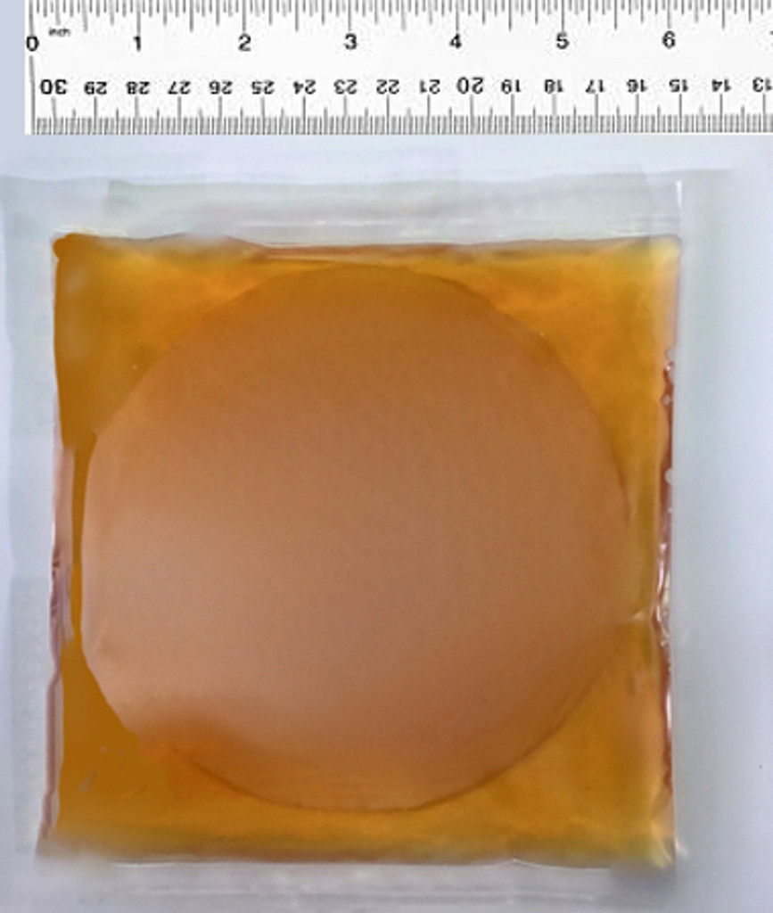 Large 6 inch Organic Kombucha SCOBY Starter Culture . Guaranteed Since 1997.