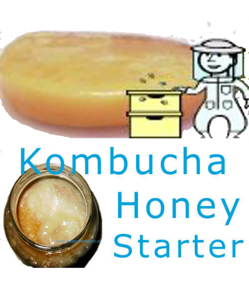 Kombucha Honey Ferment. Get Started Today.