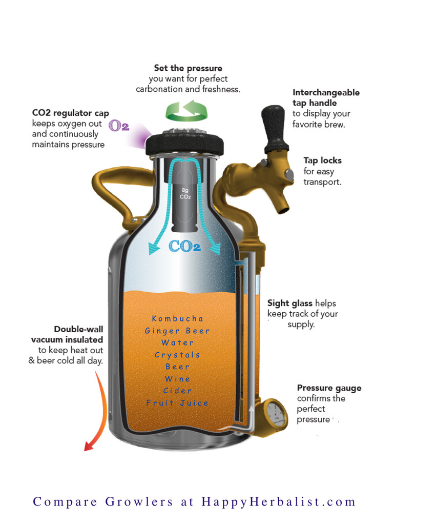 Compare Growlers and Mini Kegs