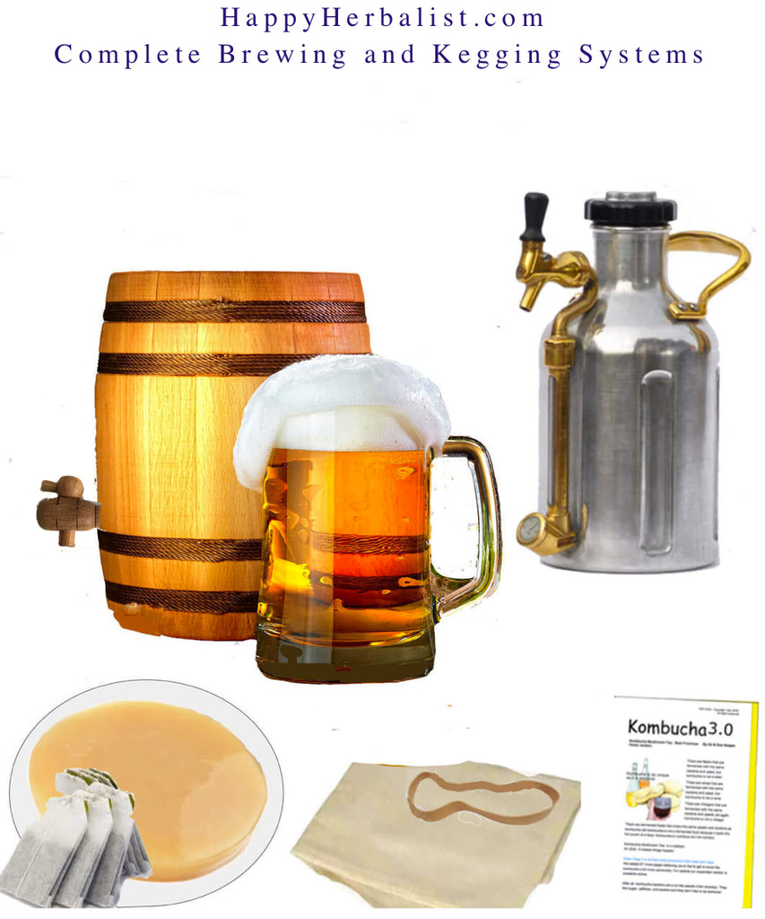 Complete Kombucha Brewing and Kegging System