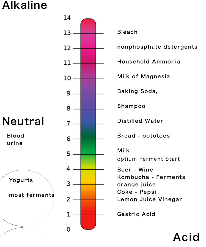 pH Chart 1-14 full range showing common everyday items