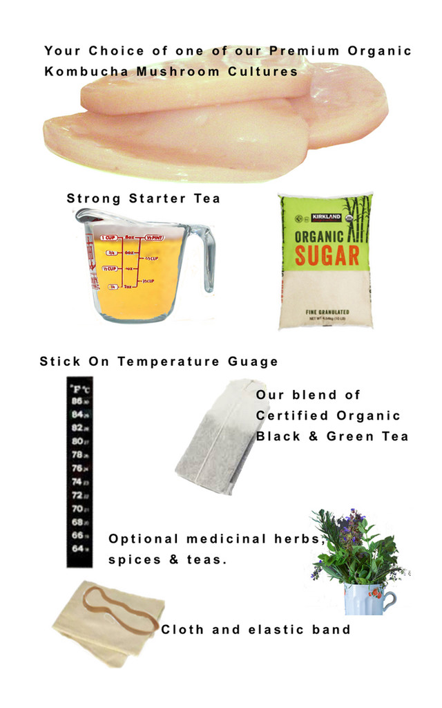Complete Kombucha Starter Kit. Just add water. We offer the most choices anywhere, and guarantee your satisfaction.