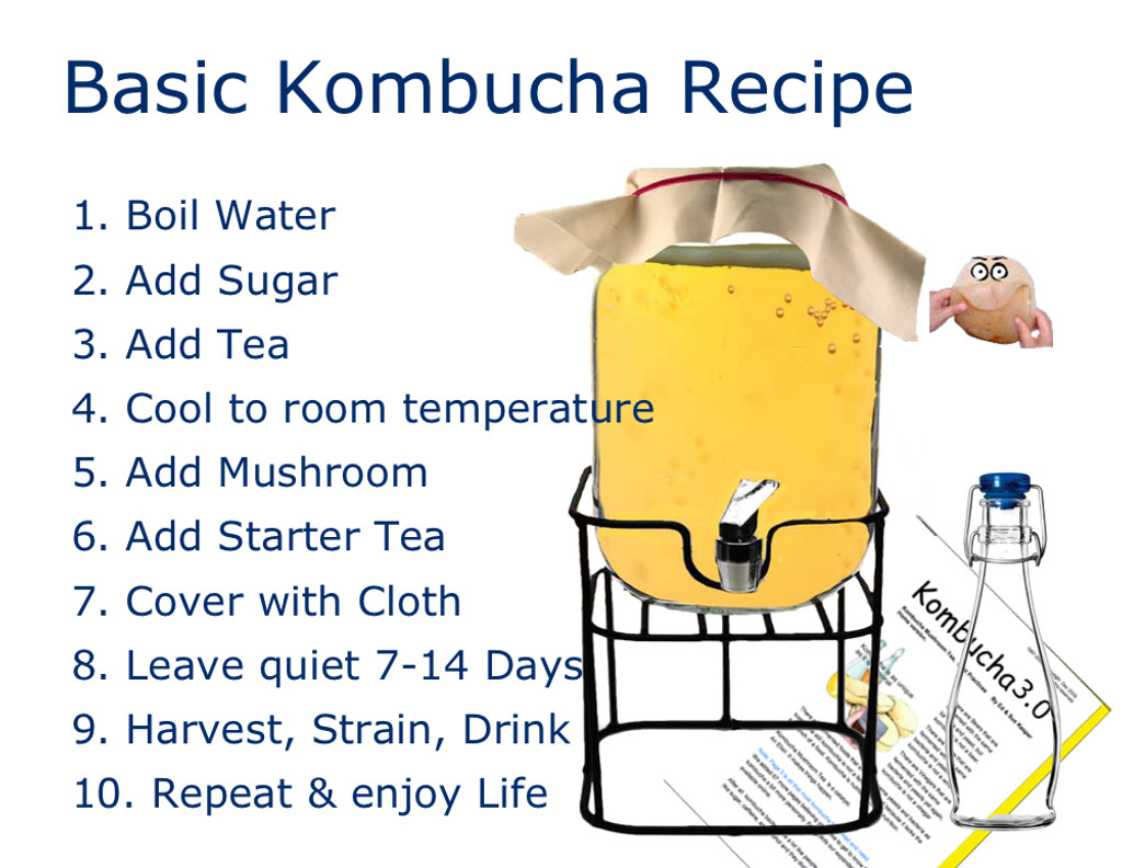 One Gallon Glass Jar with dispenser and metal stand. Includes metal screw on cap, food grade plastic spigot and optional stainless steel spigot and stainless filter for smooth clear pour. How to Make Kombucha. Simple Kombucha Recipe