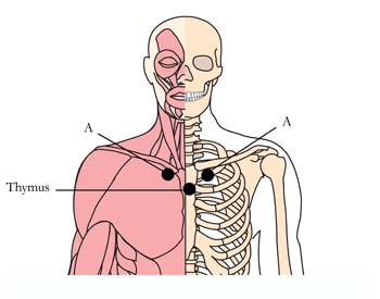 os-10-cold-flu-remedy-cell-points-tachyon-product.jpg