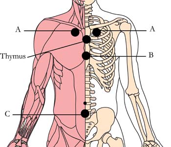 os-20-immune-system-cell-points1-tachyon-product.jpg