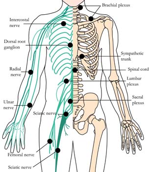 os-26-anxiety-nervousness-tlc-points-tachyon-product.jpg