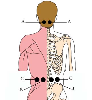 os-29-skin-corrective-cell-points-tachyon-product.jpg