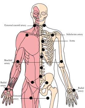 os-hrt-heart-tlc-points-tachyon-products.jpg