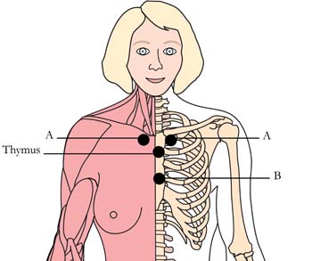 os-ova-menstrual-menopausal-cell-points-tachyon-product.jpg