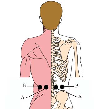 tachyon-product-os-24-prostate-cell-points1.jpg