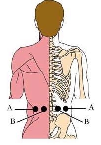 tachyon-product-os-adr-adrenal-cell-points.jpg