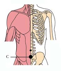 tachyon-products-os-24-prostate-cell-points2.jpg