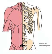 tachyon-products-os-24-prostate-tlc-points.jpg