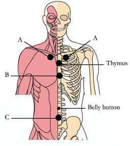 tachyon-products-os-4-viral-and-bacterial-cell-points1.jpg