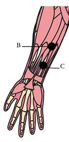 tachyon-products-os-5-digestive-cell-points2.jpg