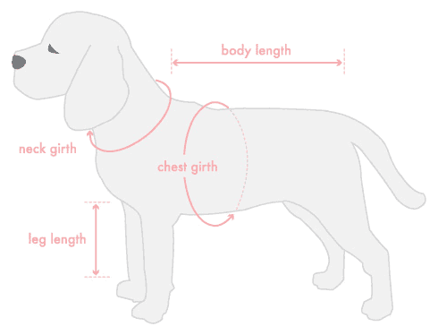 dog-meas-diagram.gif