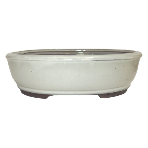10" Oval Bonsai Container CGO3-10NCM