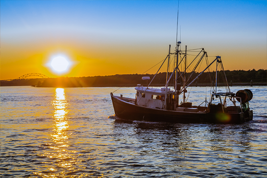 Boat Supplies, Fishing Gear & More - Seabrook, NH 03874