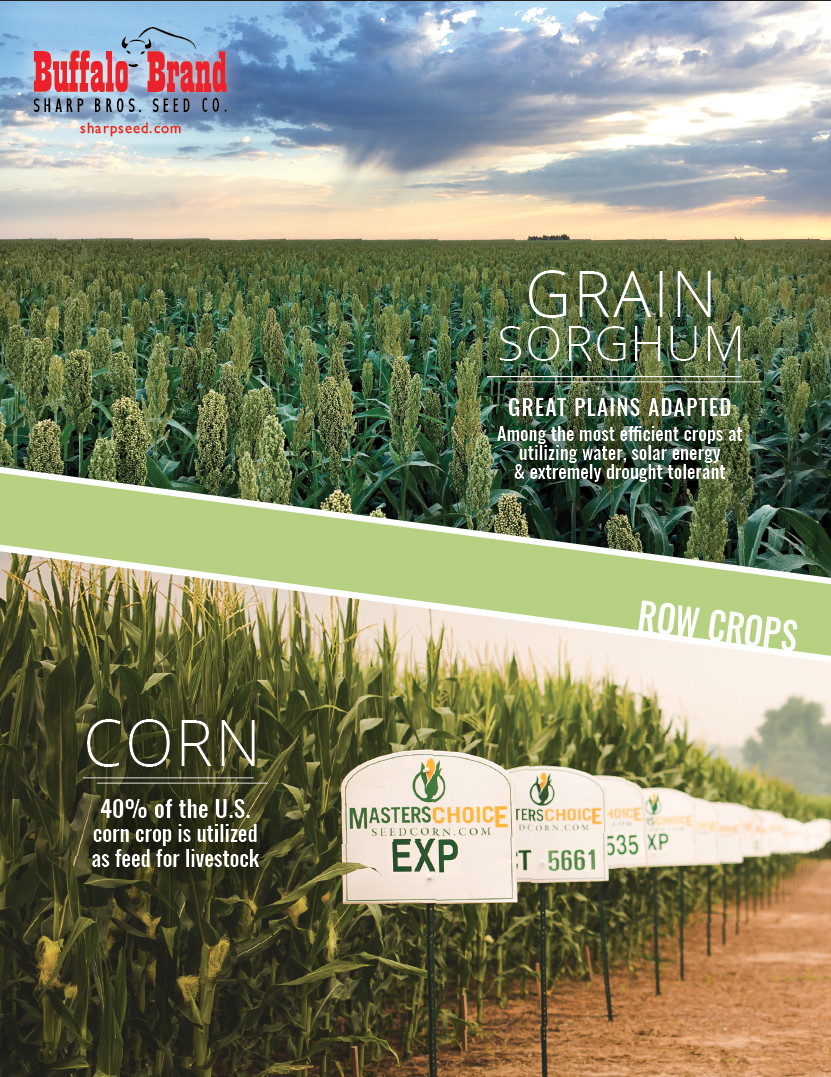 Grain Sorghum & Hybrid Corn Brochure Grain Sorghum & Hybrid Corn Brochure