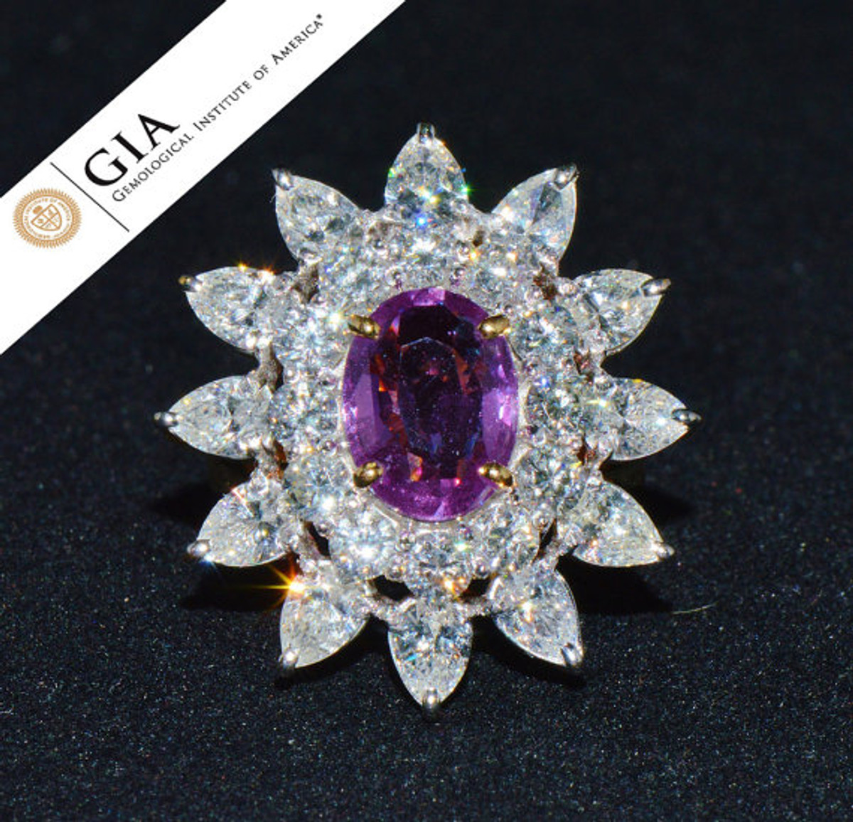 GIA Certified Natural 7.8CTS VS F Diamond Vivid Pink Sapphire 18K Solid Gold Cocktail Ring
