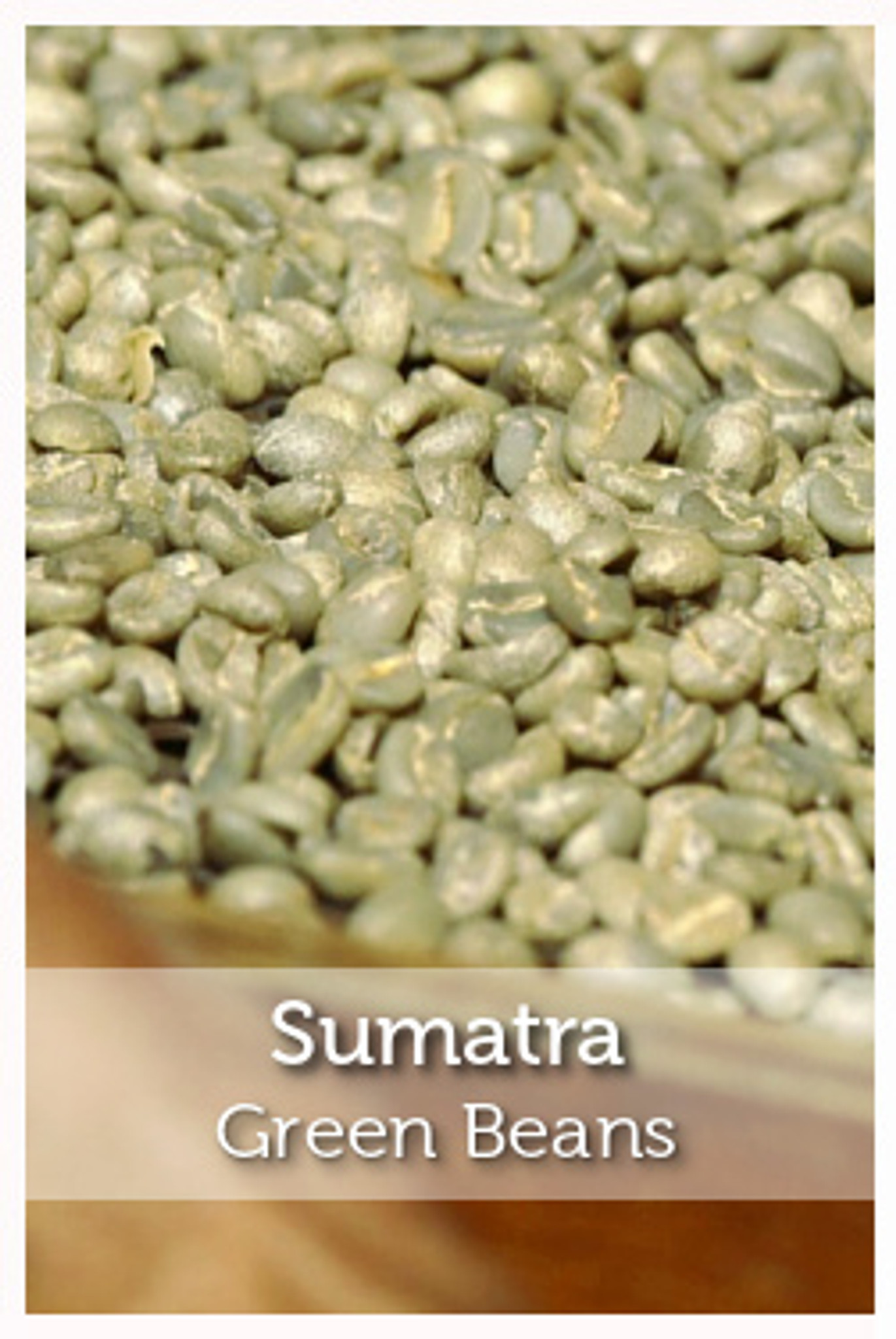 sumatra green coffee beans