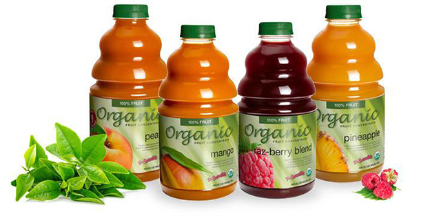 Cafe Campesino wholesale carries Dr. Smoothie organic smoothie bases