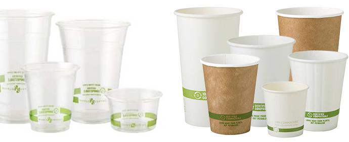 World Centric Compostable to go cups, cutlery and containers