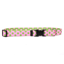 Pink and Green Polka Dot Dog Collar Pink and Green Polka Dot Dog Collar