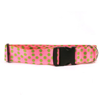 2 Inch Wide Pink and Green Polka Dot Dog Collar 2 Inch Wide Pink and Green Polka Dot Dog Collar