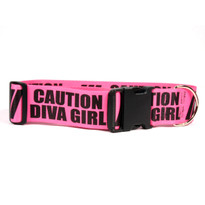 2 Inch - Caution Diva Girl Dog Collar 2 Inch - Caution Diva Girl Dog Collar