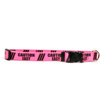 1 Inch - Caution Easy Dog Collar 1 Inch - Caution Easy Dog Collar