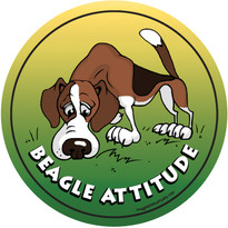 Beagle Attitude Magnet Beagle Attitude Magnet