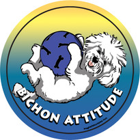 Bichon Attitude Magnet Bichon Attitude Magnet