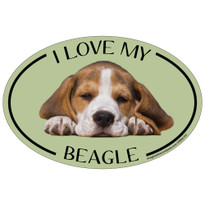 I Love My Beagle Colorful Oval Magnet I Love My Beagle Colorful Oval Magnet
